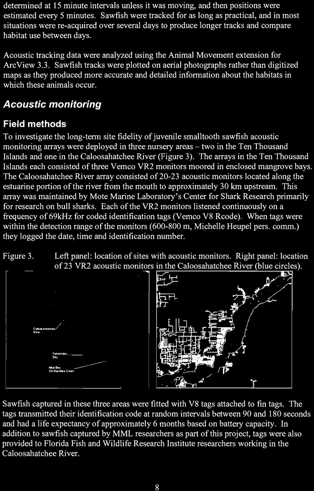 The Caloosahatchee River array consisted of 20-23 acoustic monitors located along the estuarine portion of the river from the mouth to approximately 30 km upstream.