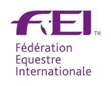 FEI Endurance Organisers Protocol 5. The CODEX for FEI Endurance Officials must be adhered to including the obligations and restrictions pertaining to the Endurance Official s Per Diems.
