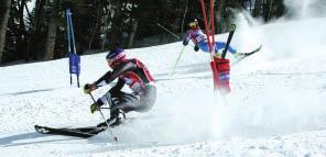 Stone will become the World Pro Ski Tour official orthopaedic surgeon.
