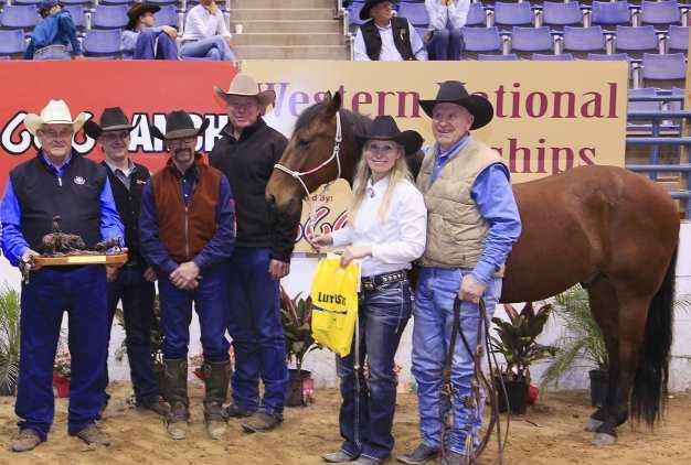 Novice Super Stakes; semi-finalist in the NCHA Open Super Stakes. NOTES: Cat Tags is easy to handle. Shows very well. Limited showing this past year. Lopes and prepares well, very cowy.