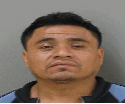 00 Mariano, Calixtro 29, of 1315 N 20Th Av Melrose Park, IL was charged on