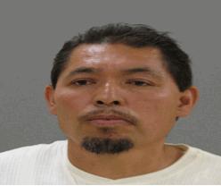 00 Fulgencio-nambo, Marco A 44, of 959 Royce St Joliet, IL was charged on