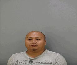 Delgado, Aniceto 34, of 1818 N 30Th Av Melrose Park, IL was charged