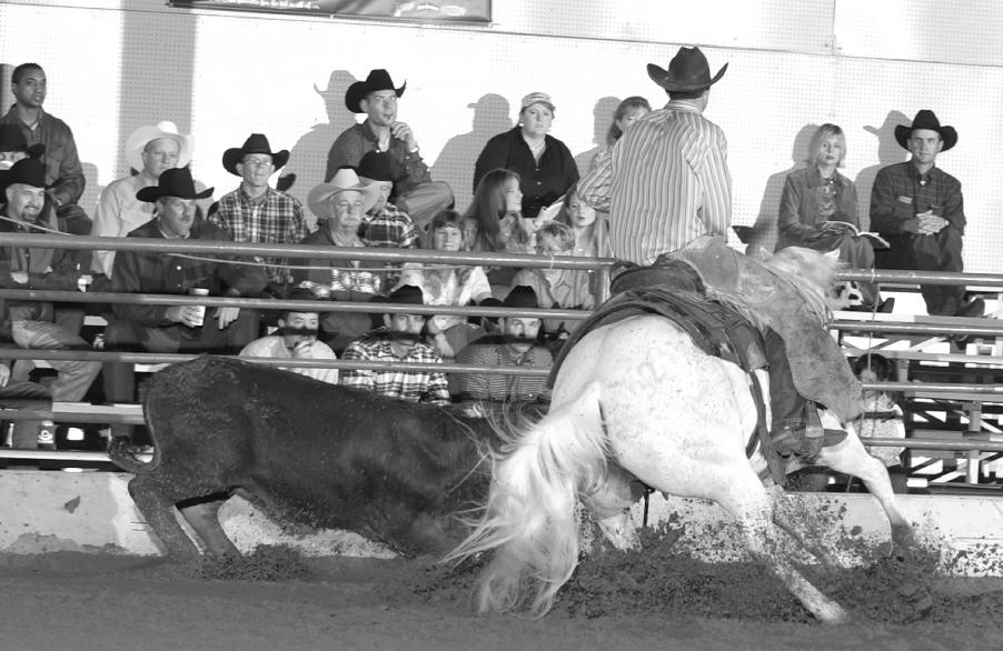 America s Premier Ranch Gelding Sale A Real Western Showcase SAN ANTONIO Ranch Gelding Stakes & Sale Sunday - Feb.