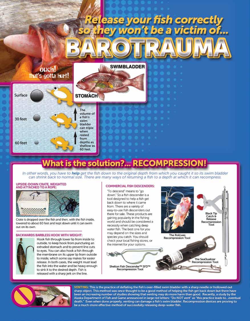 WHAT IS BAROTRAUMA? Every fish has a gas-filled organ called a swim bladder that allows the fish to gently control how much it floats or sinks.