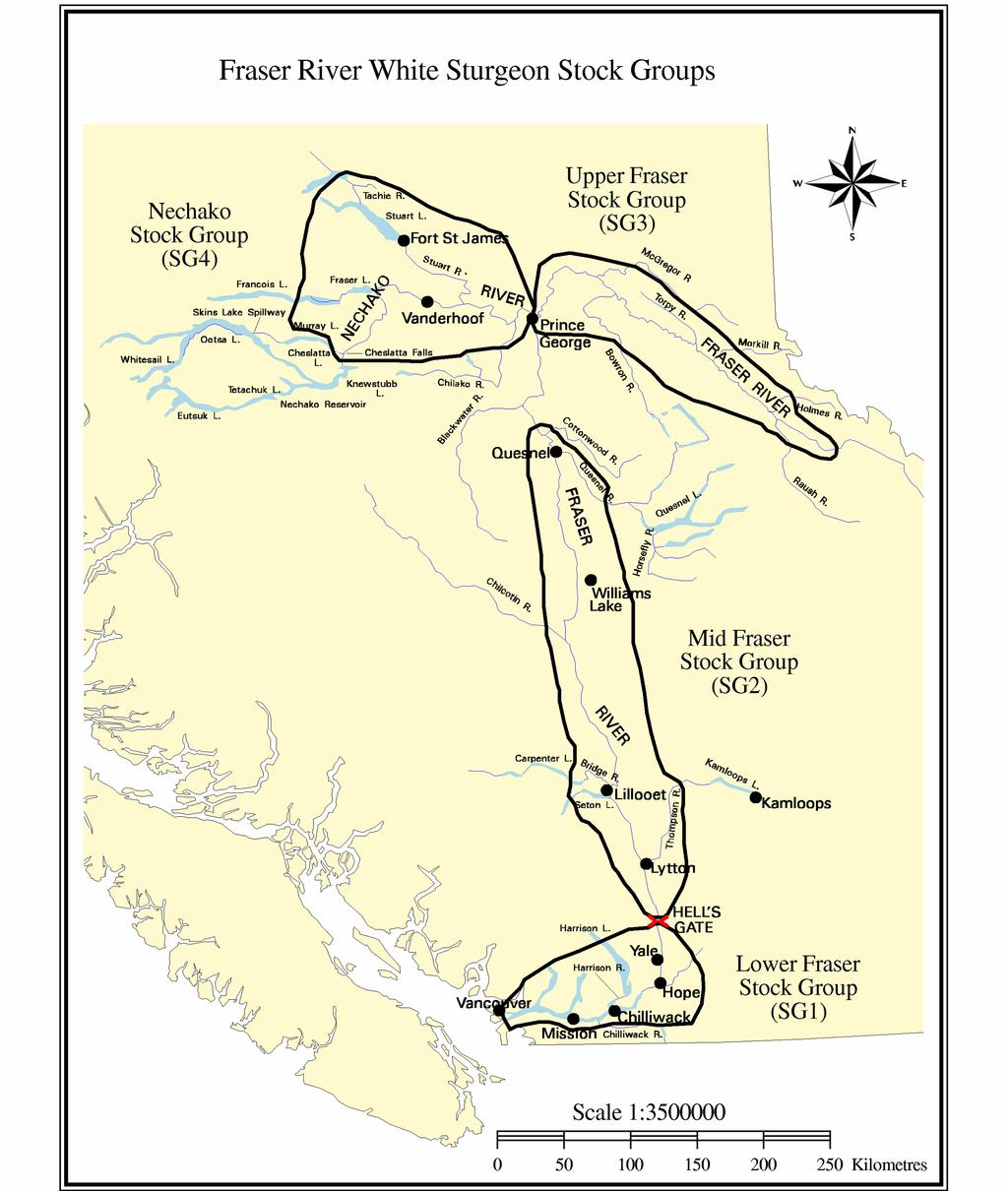 Fraser River White Sturgeon Conservation Plan Figure 2. Map of the Fraser River basin showing the approximate ranges for each of the white sturgeon stock groups.