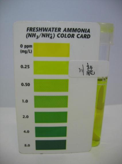 ammonia and ph value are the important chemical factors that can affect the water