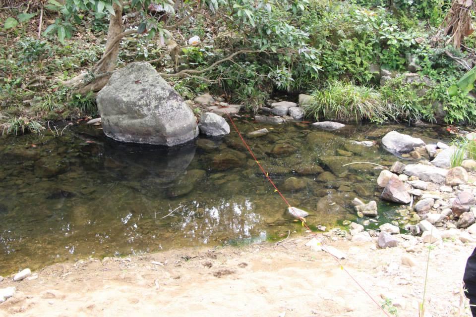 2.1 Chuen Lung (fig. 4) site B in Chuen Lung In Chuen Lung, there is a stream with both fast and slow water current. The bottom is covered by sediment and small stones.