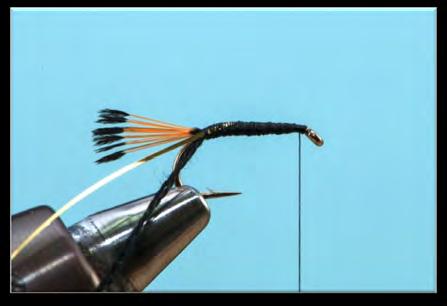 Evaluation Flies Black Pennell Dressing Hook Thread Tail Rib Body Head hackle Head #10-14 standard wet fly hook 8/0 black Uni-