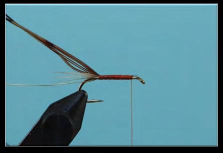Evaluation Flies Tying Tips Ensure you make a neat underbody as the tinsel rib will exaggerate any lumps and bumps Don t crowd the eye with the floss: this is easy to do especially if you use multi