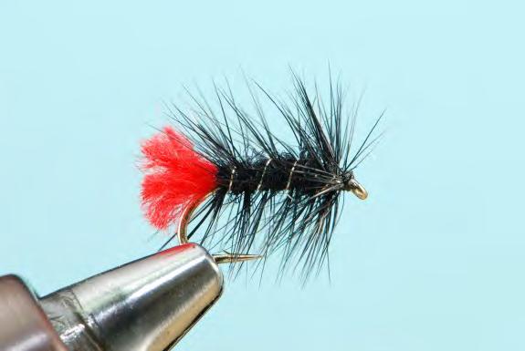 black seal s fur* * or substitute Palmered black cock hackle Whip- finish and varnish Imitates the heather fly. Also a useful summer pattern on lowland waters for the hawthorn.