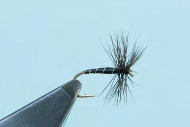 Other Flies Black Gnat (Dry) Hook #14 to 18 dry fly hook Thread Rib Body Hackle Head Black 8/0 Uni- Thread or equivalent Fine silver wire (optional) Tying thread Black cock Whip- finish and varnish