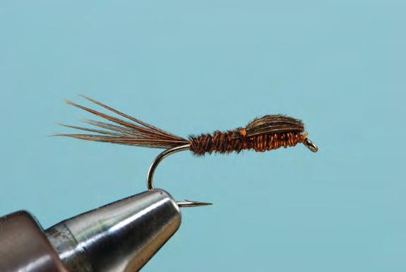 Other Flies Sawyer s Pheasant Tail Nymph Hook #10-16 wet fly hook Thread Underbody Tail Rib Body Brown 8/0 Uni- Thread or equivalent or fine copper wire Copper wire to give shape to thorax and body