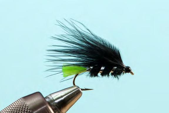 Other Flies Jack Frost (Lure) Hook #10-12 long shank hook Thread Tail Rib Body Wing Hackle Head Black 8/0 Uni- Thread or equivalent Red cock fibres Medium silver tinsel White chenille White marabou