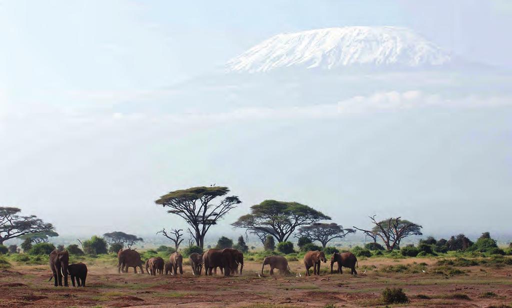 DAY 3 AMBOSELI SERENA SAFARI LODGE AMBOSELI NATIONAL PARK Serena Hotels Today you ll be driving south into safari country and wildlife viewing through Amboseli National Park.