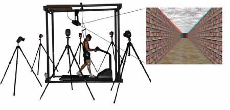 Fig. 1. Experimental set up consisting of the treadmill, the BWS, the VR and the eight-camera motion capture system (only six are shown in the figure).