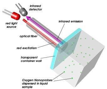 5.6 Nanoprobes Measuring 