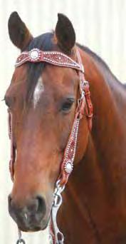 Swarovski Crystal Western Bridle with Etching Sparkles galore.
