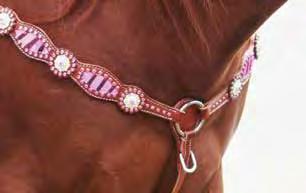 Horse Shoe Bling Western Bridle Startling crystals that glitter and sparkle.