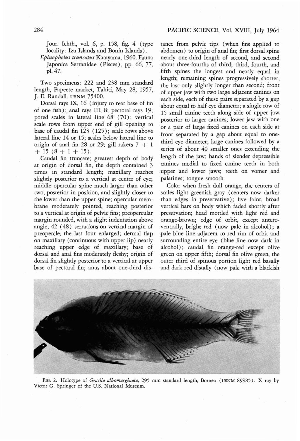 284 Jour. Ichth., vol. 6, p. 158, fig. 4 (type locality: Izu Islands and Bonin Islands). Epin ephelus truncatus Katayama, 1960. Fauna Japonica Serranidae (Pisces), pp. 66, 77, pi. 47.