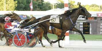 McClelland, owners/breeders Josh Sutton, driver Bobby Brower,