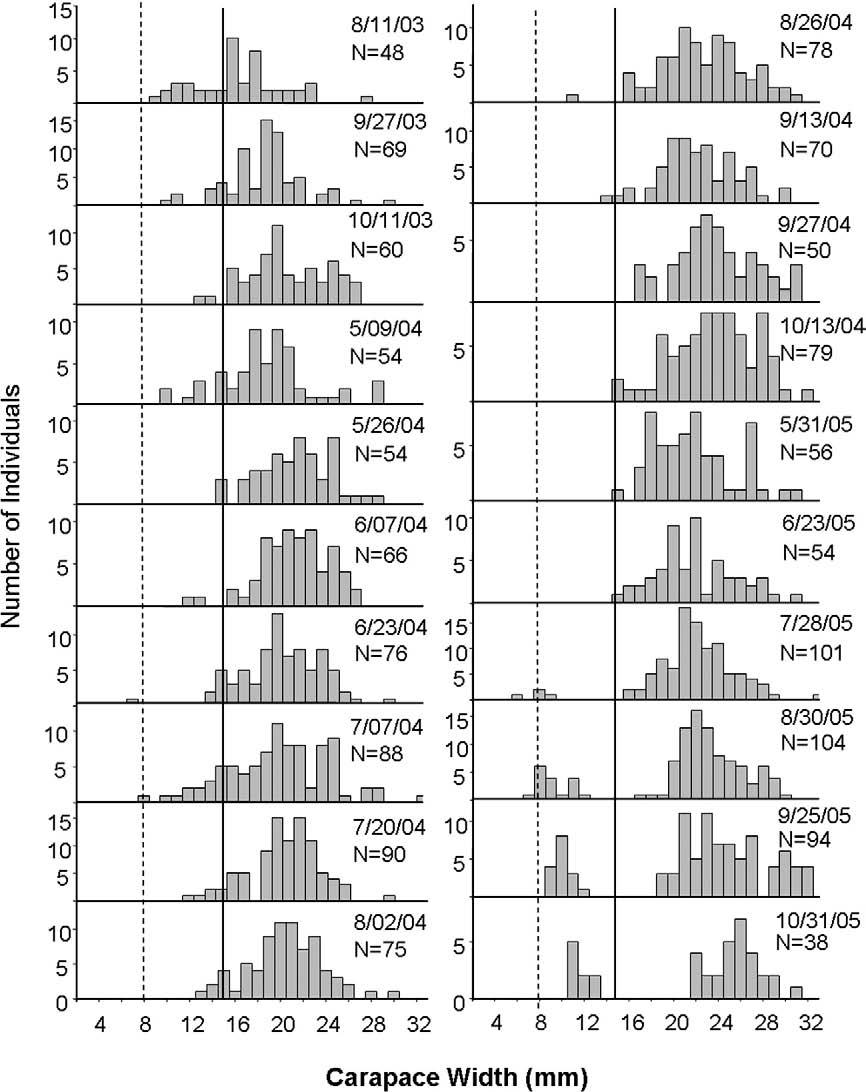 28 E.H. Stephenson et al. / Journal of Experimental Marine Biology and Ecology 375 (2009) 21 31 Fig. 10. Time series of size frequency histograms for H.