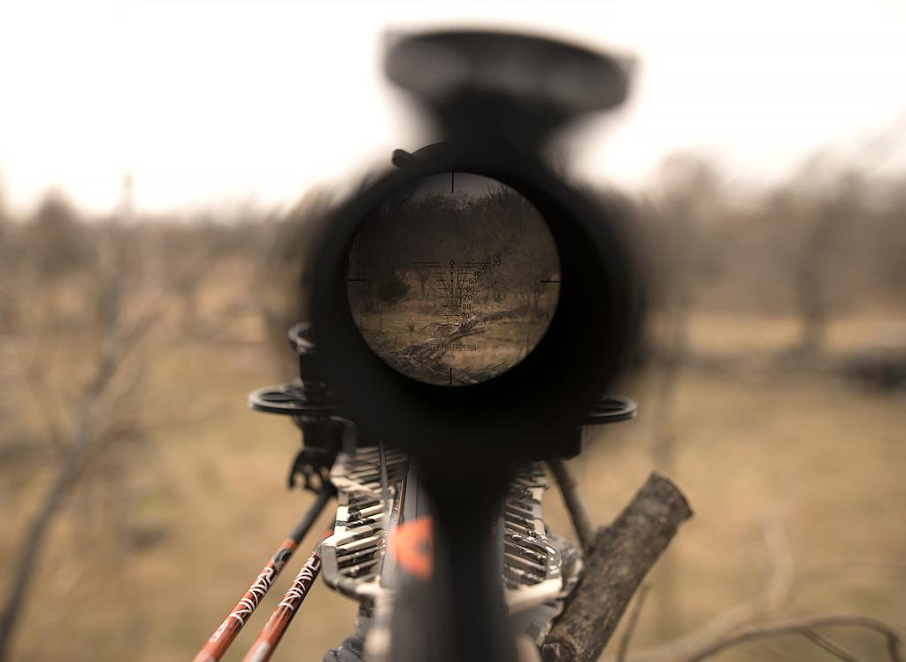 D. Illuminated Reticle Your scope is equipped with a selectable red or green illuminated reticule. The illumination rheostat is located on the left side of the scope.