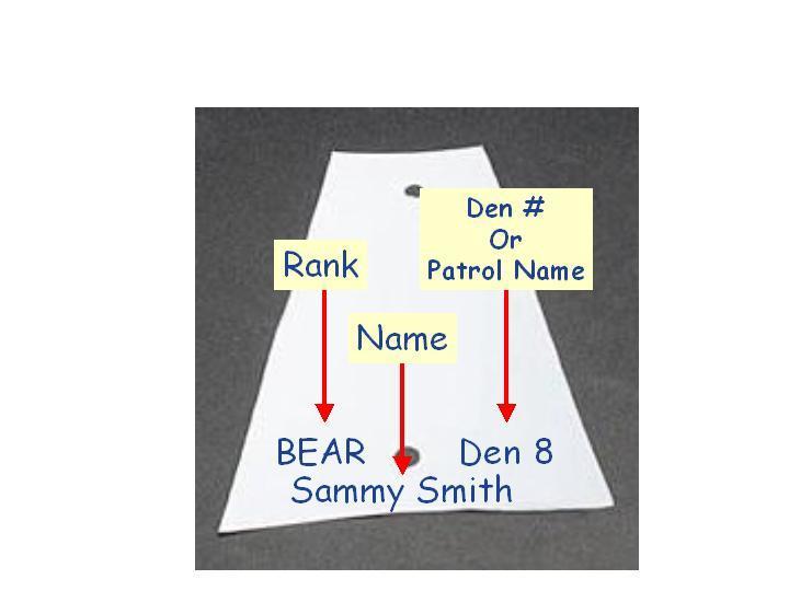 Sails may have the rank, den number and the Scouts First and Last name.