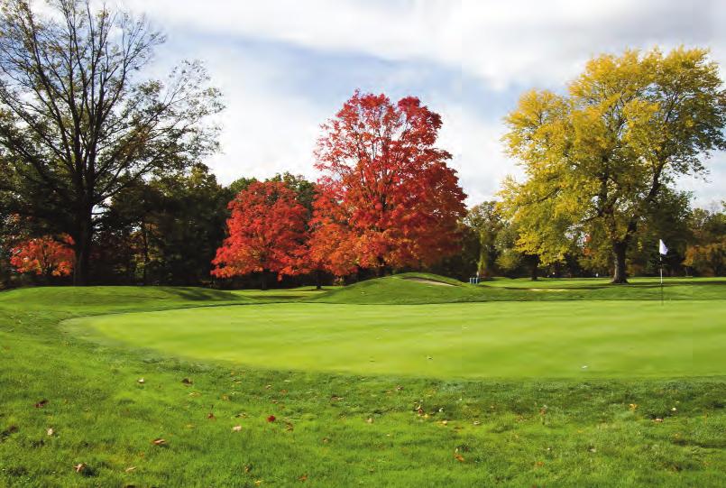 Shack newsletter Fall 2014_Layout 1 8/29/14 11:25 AM Page 11 Golf David Elliott Director of Golf It is hard to believe that fall is already upon us.