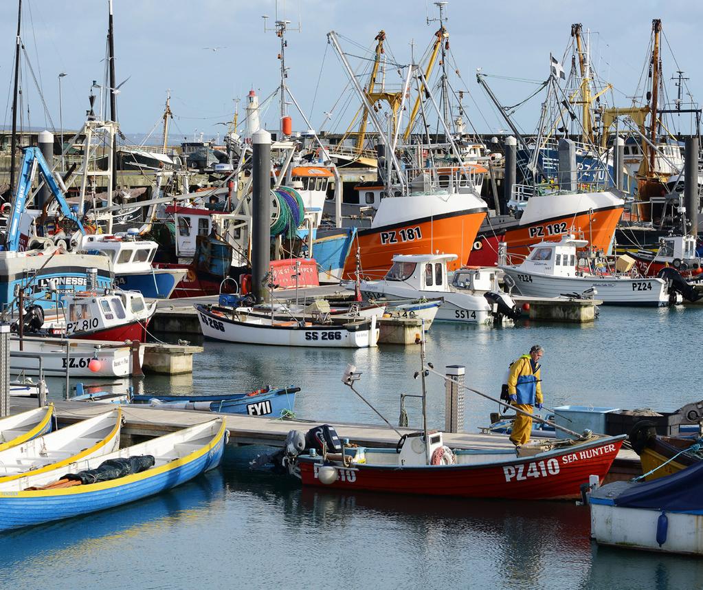Interim Research Findings Seafarers UK commissioned Cornwall Rural Community Charity to establish an overview of what is needed to address the socio-economic challenges in fishing communities.