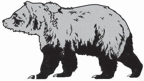 Montana is Bear Country Identification Guides Black bear hunters must be able to tell the difference between a grizzly and a black bear because grizzly bears cannot be legally hunted in Montana.