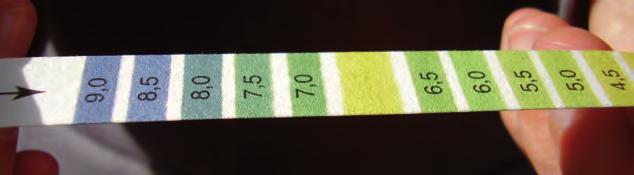 Remove the strip from the water and match the colour of the indicator zone (unprinted middle area) to the colour scale.