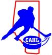 CENTRAL ALBERTA HOCKEY LEAGUE Governor Fine Issuance Form Please complete this form and send it to the Team Manager and CAHL Director of the team, cc the CAHL Treasurer at cahltreasurer@gmail.