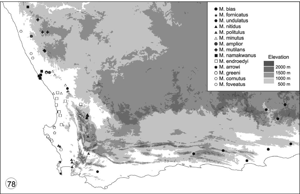 A. V. Frolov & C. H. Scholtz Figure 78 Distribution map of species. Additional material examined 5 P and 6 O: 11 km N of Vanrhynsdorp, 31 30' S 18 43' E, 5-11.IX.2003, Frolov and Deschodt leg.