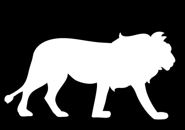 The average male lion weighs about 400 pounds, but the heaviest on record weighed over