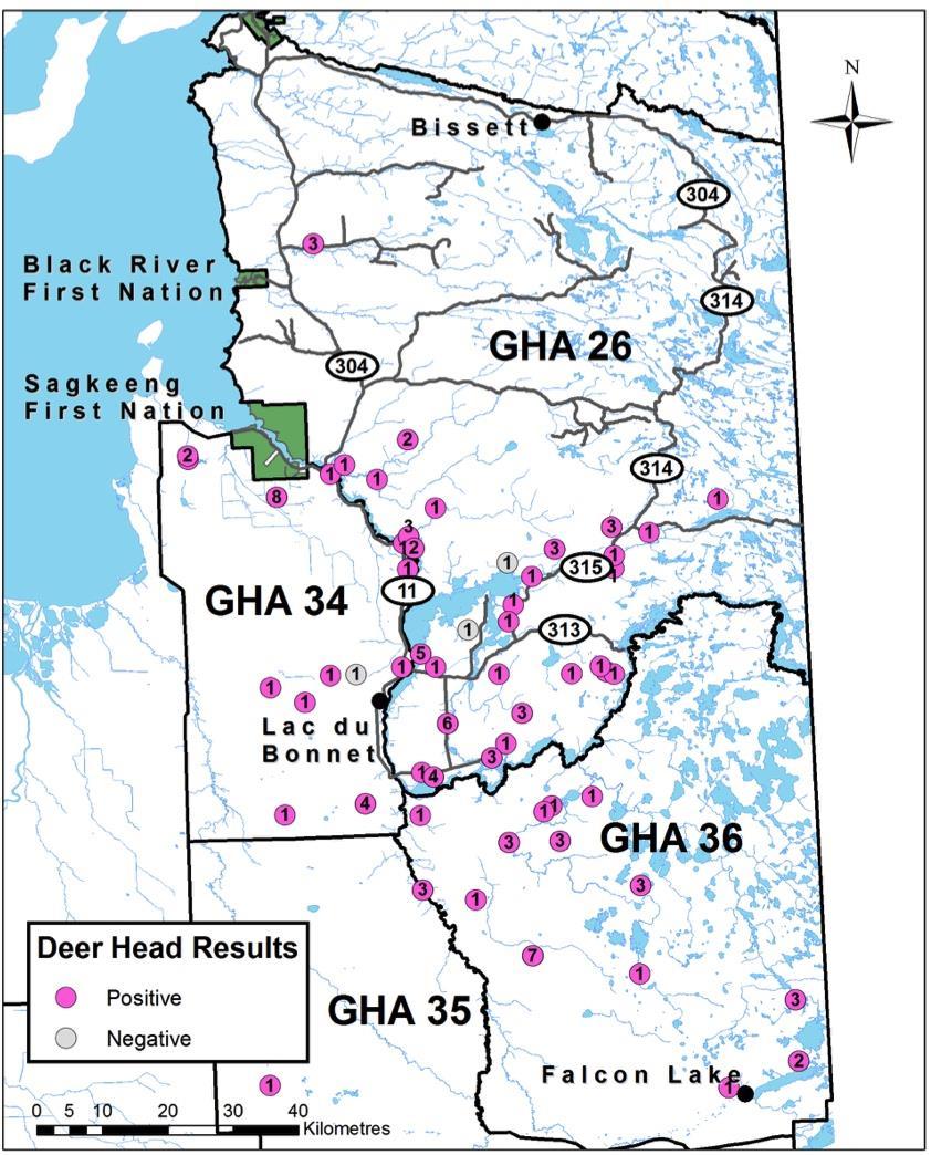 Figure 11. Geographic incidence of the brainworm parasite in white-tailed deer from 2012-2014 