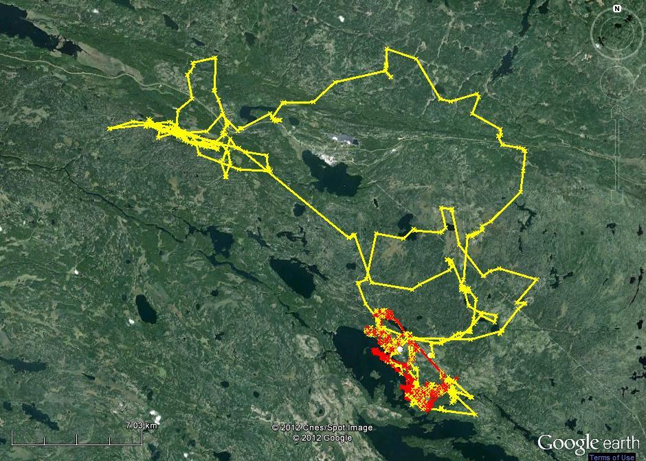 Figure 13. GPS location data of 2 cow moose from April 1 to July 1, 2012 near Quesnel Lake and the community of Bissett (northern portion of GHA 26). Source: Manitoba Sustainable Development.