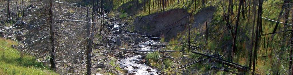 Live Water Properties Newsletter - Spring 2008 Stream bank erosion and bank failures are common to watersheds hit by wildfire.