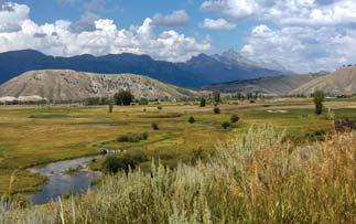Sunny, welcoming location $1,195,000; Agent is part owner 3 Creek Homesite - Wyoming Teton County - Jackson Hole.