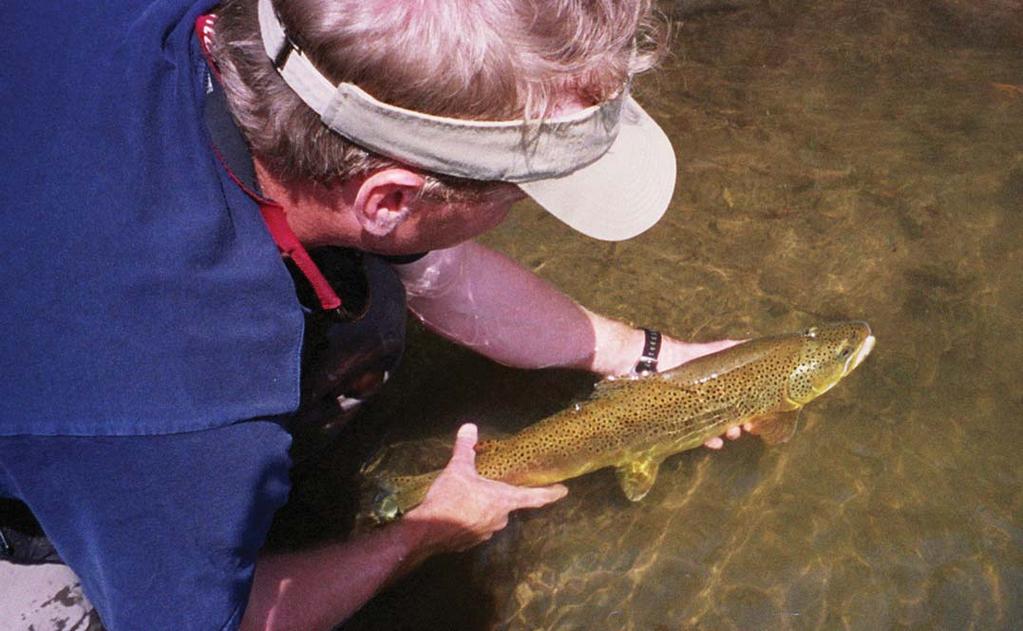 Broker Specialists for Fly Fishing and Hunting Ranches TM PRSRT STD US Postage Paid Bozeman, MT 59715 Live Water Properties, LLC PO Box 9240 Jackson, WY 83002 307.734.6100 2008 Issue 2 777 E.