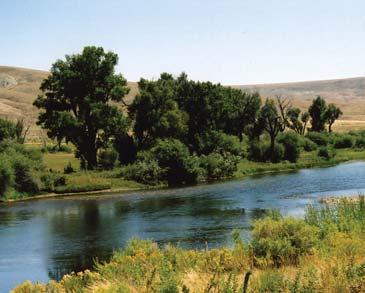 The New Fork River of the Green River drainage in Western Wyoming has these characteristics and more.