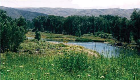 New Montana Ranches Mount Haggin Ranch Anaconda, Montana Only 1.9 miles northwest of Anaconda in Deer Lodge County, the 150-acre Mount Haggin Ranch offers 1.