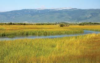 W Ranch - Idaho Teton County - Driggs 140 acres bordered by lands under conservation easement 1/4 mile of Teton River &