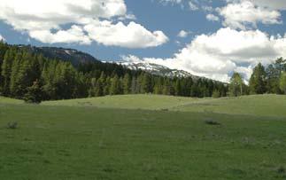 $3,400,000 Carlisle Ranch - Idaho Bonneville Co. - near Alpine, WY 348.