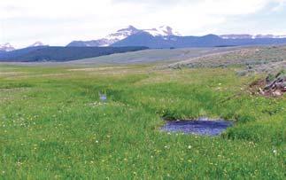 potential for pond creation Fantastic mountain views $3,134,250 York Gulch Ranch - Montana Deer Lodge County - Wisdom
