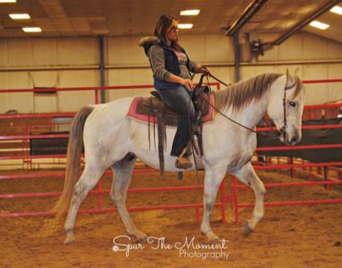 WELCOME TO THE 5th HAWKEYE SELECT HORSE AND TACK SALE March 25, 26, & 27th 2016 Mr Bee Blue Chad Coblentz November 2015 Top Seller Our goal is to bring the Best Horses and the Best Buyers