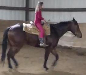 This mare is classy and so automatic the only way she d be easier to ride is if she do it herself! This mare needs corrective shoeing to be sound. Check her out!