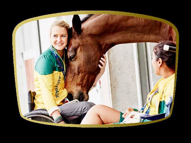 ABOUT THE FEI WORLD EQUESTRIAN GAMES The FEI World Equestrian Games (WEG), which are administered by the Fédération Equestre Internationale (FEI), the worldwide governing body of equestrian sport, is