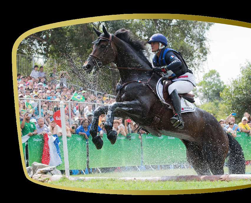 In January 2016, Bellissimo s Wellington Equestrian Partners (WEP) purchased the Wanderers Club for $6.8 million dollars.