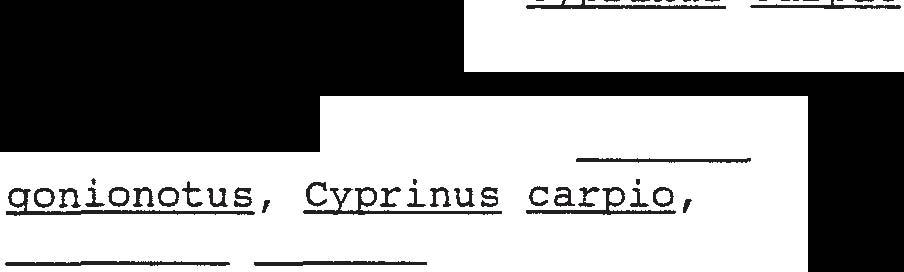 LIST OF FIGURES FIGURE 1 Experimental Set Up for 21 Tanks on Larval Rearing of Cyprinus carpio.